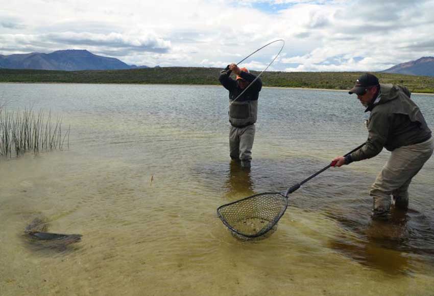 Patagonia Fly Fishing - Rod Gun Resources
