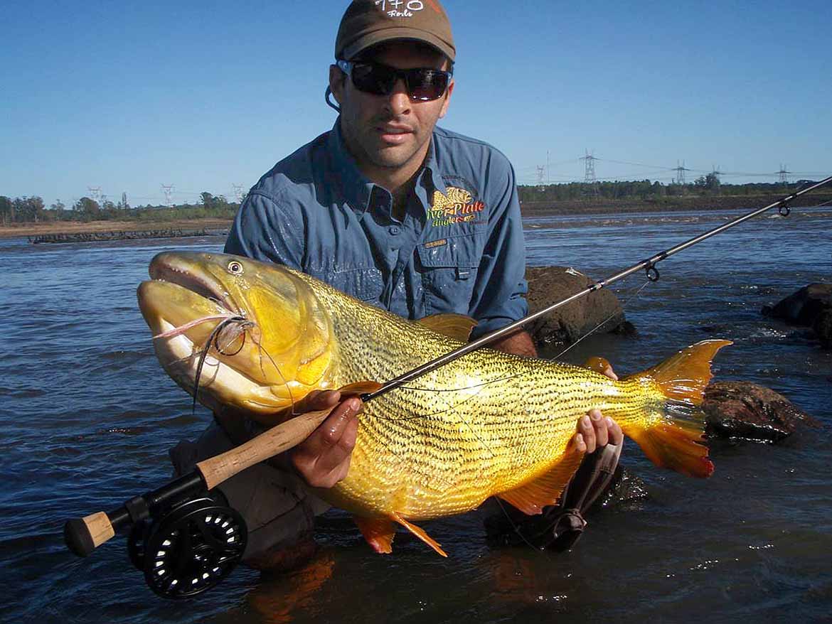 Golden Dorado Fishing at Salto Grande 