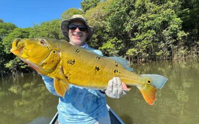 2024/2025 Peacock Bass Fishing Season