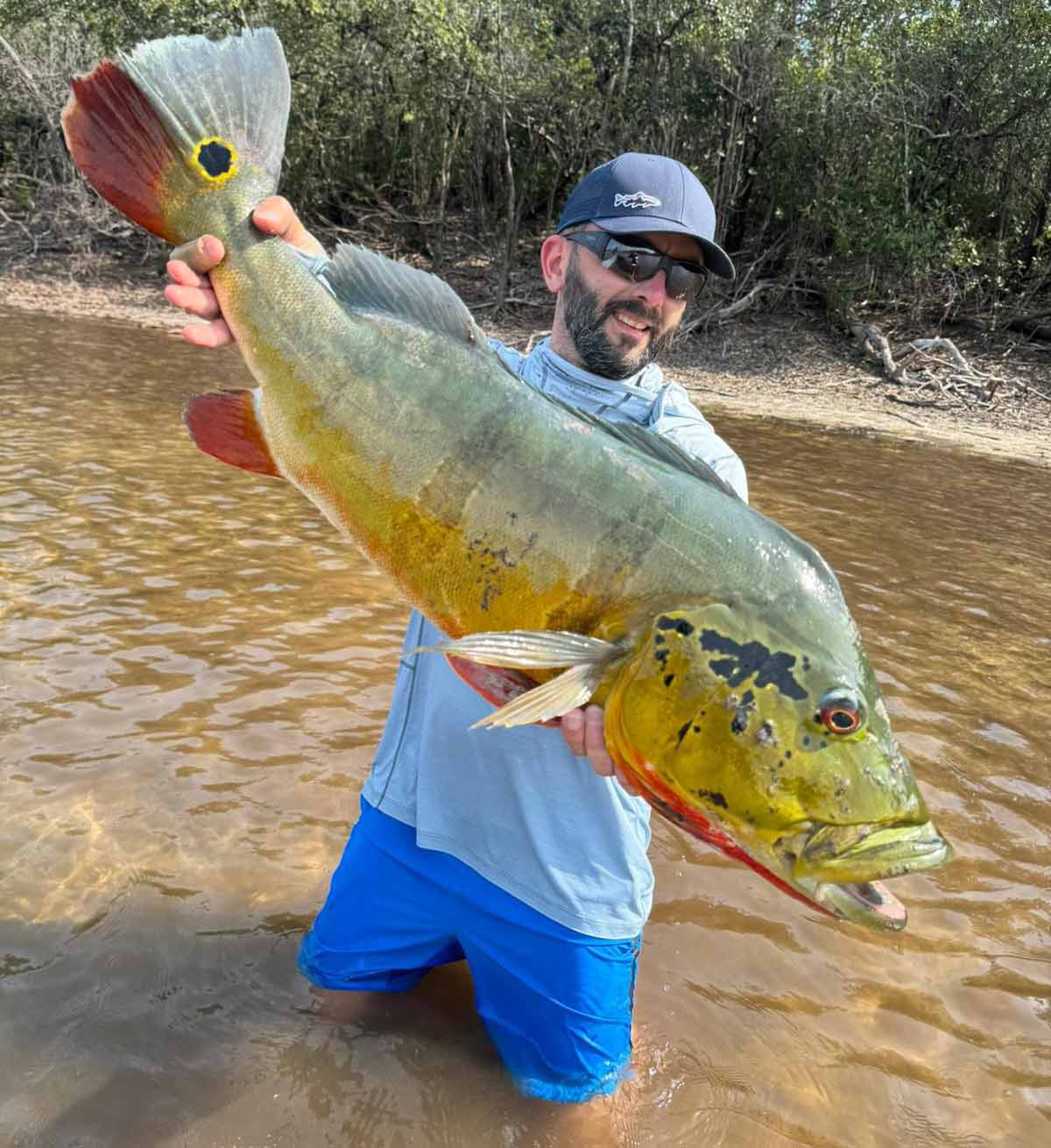 Brazil Peacock Bass Fishing 2025 Fishing Season