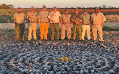 Successful 2025 Bird Hunting Season!